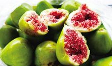 玫瑰花与无花果