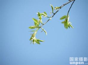 早春话语