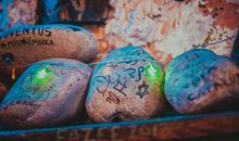 创新与保守应并存