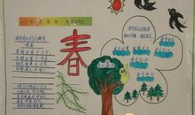 神奇的蛋壳看图写话二年级200字