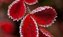 心中的那一丝牵挂