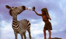 我身边的动物朋友