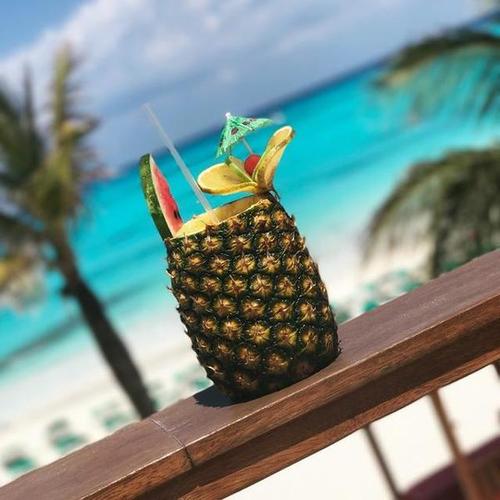 我夏日的白日梦