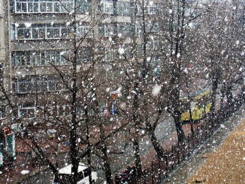 鹅羽毛雪
