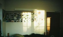 家永远的避风港