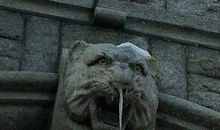 妈妈夸我真“机灵”