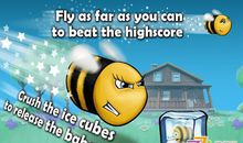 “小蜜蜂”眼里的世界