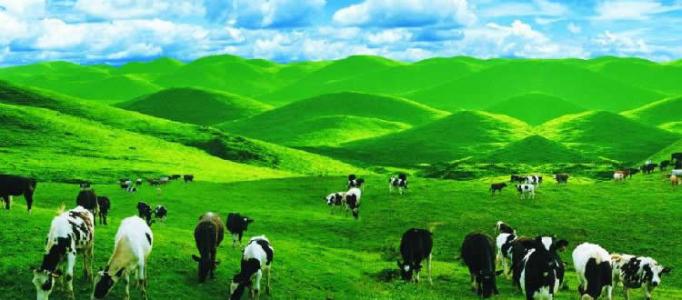 免费南山牧场