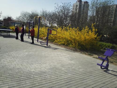 妈妈学会跳舞广场舞