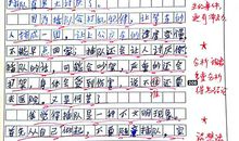 我有一个想法300作文三年级