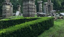 游圆明园遗址公园