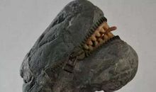 平凡的石头，我赞美你