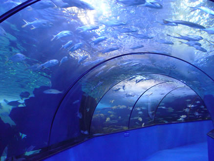在极地水族馆过夜