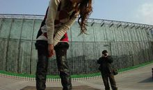 我与宠物公园的约会