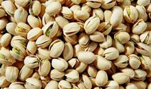 我的“开心果”