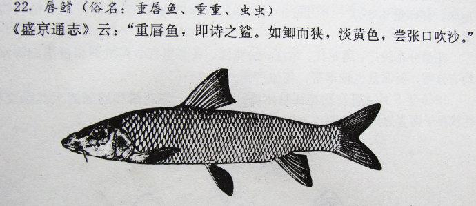 普通的沙子也可以很棒