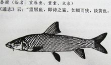 平凡如沙亦能伟大