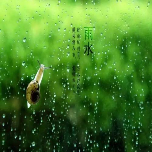 春雨