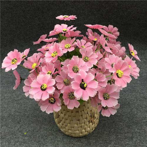 一簇野生雏菊