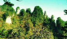 美丽的魁山公园