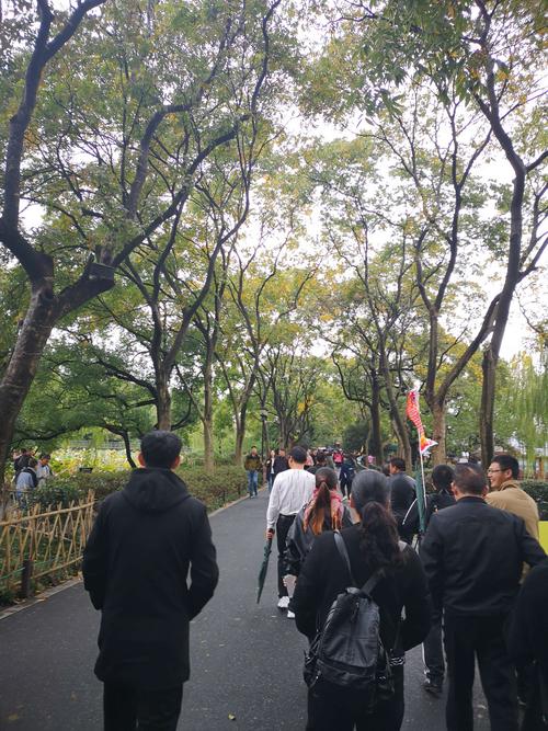 在快乐的阅读路上漫步