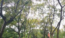 漫步在快乐的阅读路上