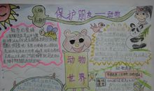 关爱动物竟与我有关