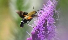 停下来看看夏天