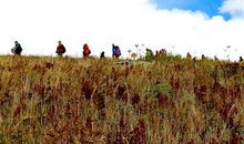 五彩缤纷的调色盘