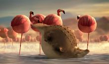 假如动物变胖了