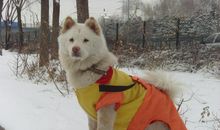 隔窗遐想－朋友