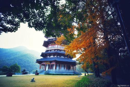 我爱你美丽的九峰山