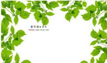 树叶进入了我的视线