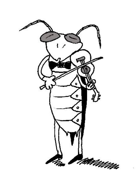 关于“时代广场板球”的思考