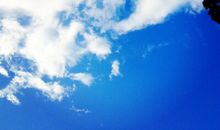 只要付出汗水，就一定能开花