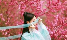 人面桃花相映红