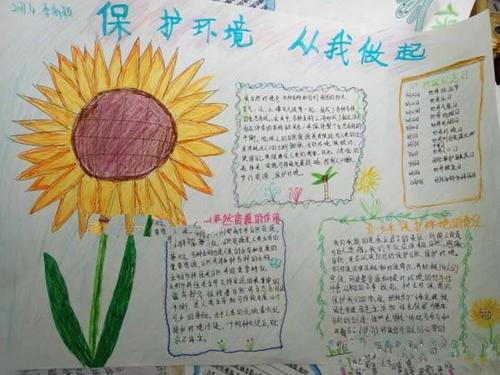 我最珍贵的书