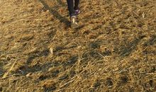 我和朋友的趣事