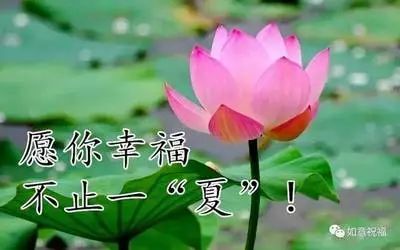丽霞快乐
