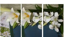 有书相伴的日子真好