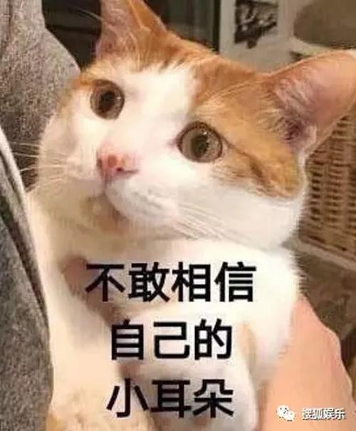 相信自己