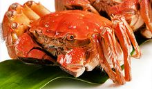 小螃蟹与大毛蟹的“较量”