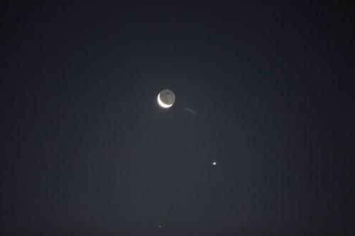 我的明星