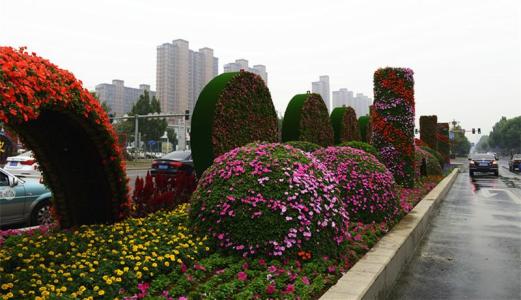 多彩的季节