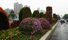 多姿多彩的四季