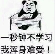 学校终于开始了