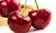 神奇的水果汽车