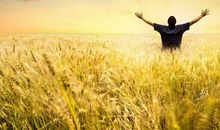 用一道风景沐浴阳光