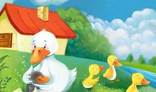 小鸭遇险记