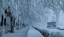 一场不期而至的雨